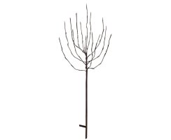 LED-Baum, TOBBY TREE, 70-flammig, H 1100